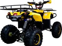 Квадроцикл AVANTIS Patriot M