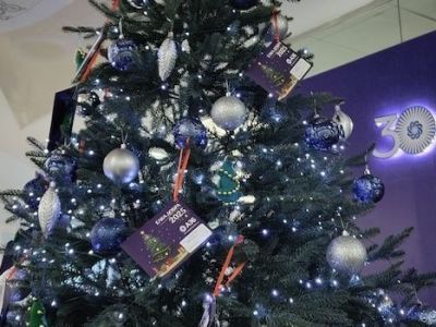 АЭБ запускает акцию «Ёлка добра» для поддержки детей с синдромом Дауна