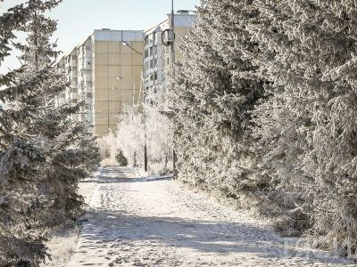 Началась последняя в году короткая рабочая неделя