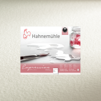 Альбом-склейка для акварели Hahnemuhle "Expression" 24х30 см 300г 20л среднее зерно, хлопок 100%