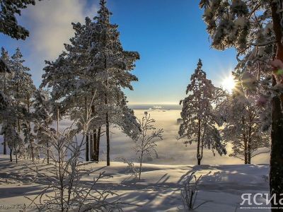 Сегодня у Быка холода вырос второй рог