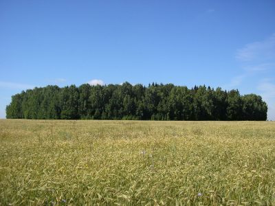 Священная роща