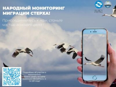 Народный мониторинг миграции стерхов запустили в Якутии