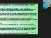 Международный вебинар "Современные практики сопровождения ребенка с ОВЗ и инвалидностью в дошкольной организации"