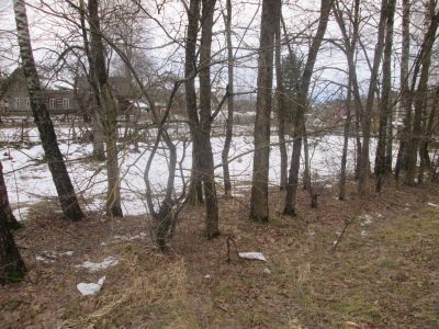 Родина известного советского невролога и организатора здравоохранения в СССР Н.Н. Гращенкова