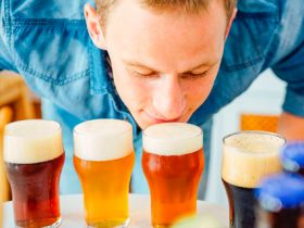 Мастер-класс пивоварения