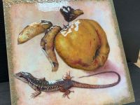 Клуб «Надежда» г. Москвы