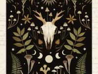 Открытка Дворникова А. "Череп оленя"