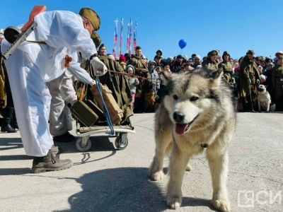 В Якутске прошли показательные выступления собак
