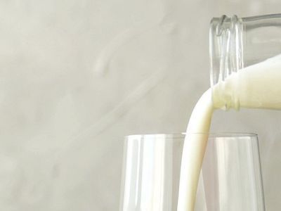 Изготовители кефира улучшают производство после исследования Роскачества