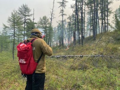 Ученый: рост температур и пожаров в Якутии происходит быстрее, чем в других регионах России