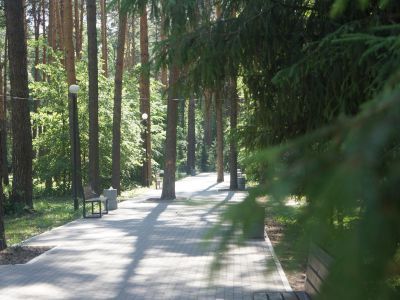 Парк «Сосновый бор»