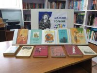 Библиотека с. Новосысоевка