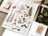 Открытка Дворникова А. "Лесные сокровища" светлая