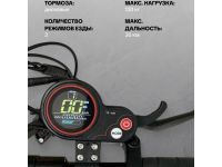 Самокат  Exegol ESEXS Pro 10, цвет Черный