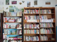 Бирюсинская сельская библиотека – филиал № 34