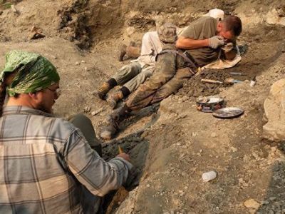 В Якутии нашли останки животных, которые жили 130 миллионов лет назад