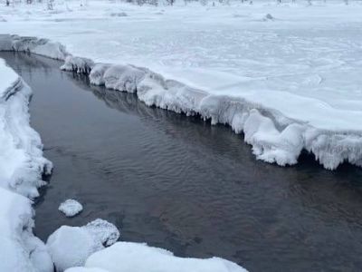 Экологи проверили загрязнение ручья в Нерюнгринском районе 