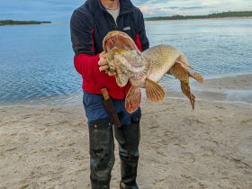 Трофейная рыбалка на реке Вилюй. Маршрут: п. Кысыл Сыр - устье р. Вилюй (до Лены)