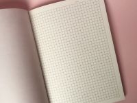 Тетрадь нелинованная Rabbit А5 24 л 90 г, золотое тиснение, бумага слоновая кость, сшивка