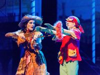 Театр Терезы Дуровой