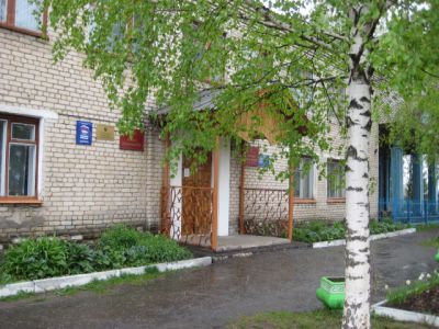 Центральная районная библиотека п. Тонкино