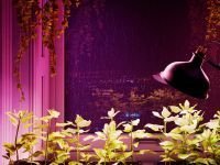 Умная лампа Sber SBDV-00117 (цоколь E14)