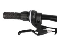 Детский велосипед Maxiscoo 3Bike 20 L, год 2026, цвет Розовый