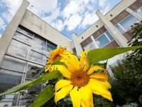 Культурный центр «Меридиан»