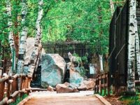 Зоосад «Приамурский» им. В. П. Сысоева