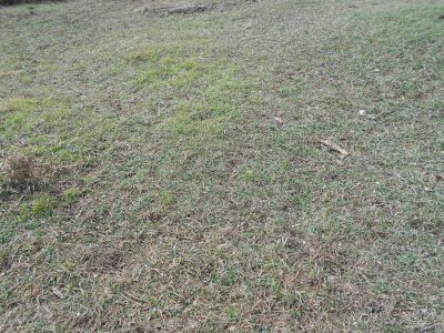 Аллея писателей