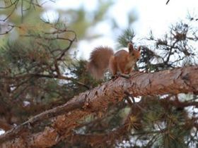 1 сентября - День заезда участников чемпионата мира по мас-рестлингу. Фото