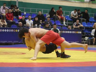 Определены обладатели путёвок на Игры Манчаары по хапсагаю среди юношей