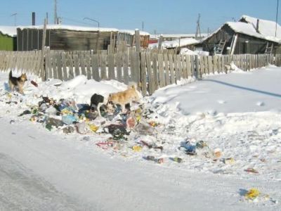 За мусор из автомашин штраф стал жестче