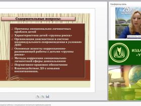 Индивидуальное сопровождение ребенка с эмоционально-личностными проблемами развития