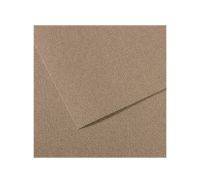 Бумага для пастели Canson "MI-TEINTES" 50x65 см 160 г №431 серый с разводами