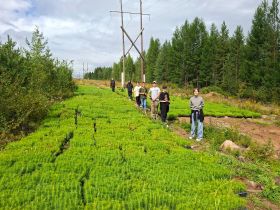 К вершинам экологии: школьное лесничество «Чычыпкаан» завершило летний сезон