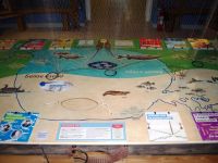 Музей Белого озера