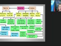 Международный вебинар "Важнейшие классы неорганических веществ. Оксиды. Основания"