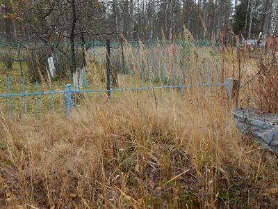 Памятное место, где захоронены ленинградцы, погибшие при эвакуации в 1941-43 гг.