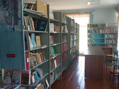 Библиотека села Виноградовка