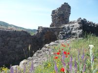 Музей под открытым небом «Крепость Фуна»