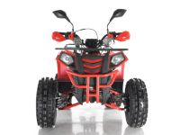 Квадроцикл WELS Thunder Evo X