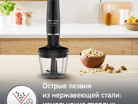 Погружной блендер Moulinex InfinyForce DD944810