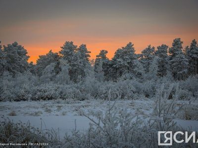 Видеофакт: в якутском селе обнаружили не замерзший в -40 градусов ручей UPD