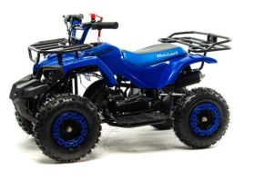 Квадроцикл MOTOLAND 50 Scorpion (2021 Г.)