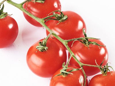 Ликопин из томатов оказался антидепрессантом