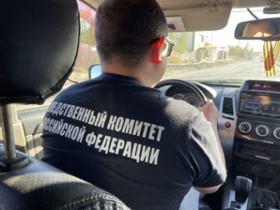 По факту нападения безнадзорных собак на мужчину в Ленском районе республики возбуждено уголовное дело