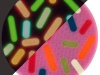 Патч "Пончик", Stabwoodstone