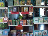 Червовская поселенческая библиотека-филиал